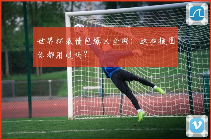 世界杯表情包爆火全网：这些梗图你都用过吗？