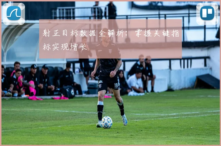 射正目标数据全解析：掌握关键指标实现增长